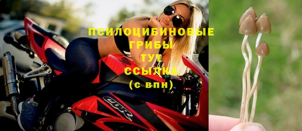 сатива Алексеевка