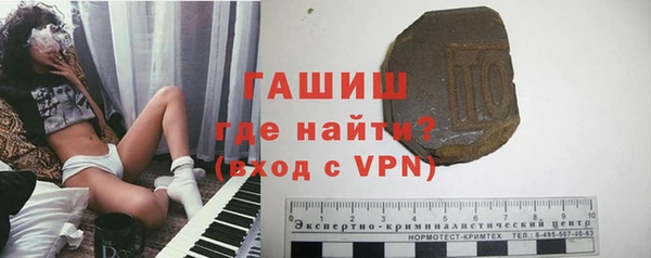 стаф Алзамай