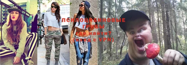 сатива Алексеевка