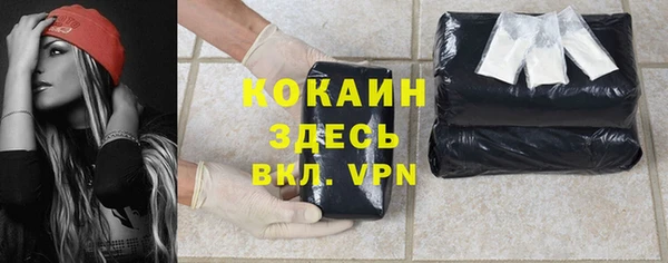 стаф Алзамай