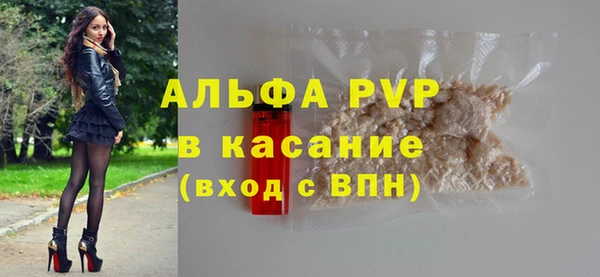 стафф Алексин